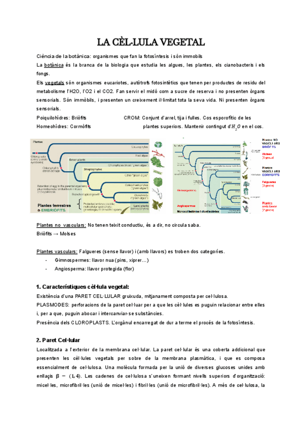 Miniatura del documento La-cellula-vegetal.pdf