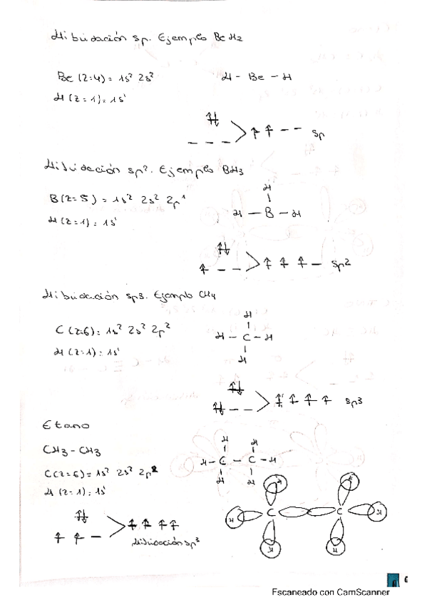 Miniatura del documento Tarea-de-Hibridacion.pdf