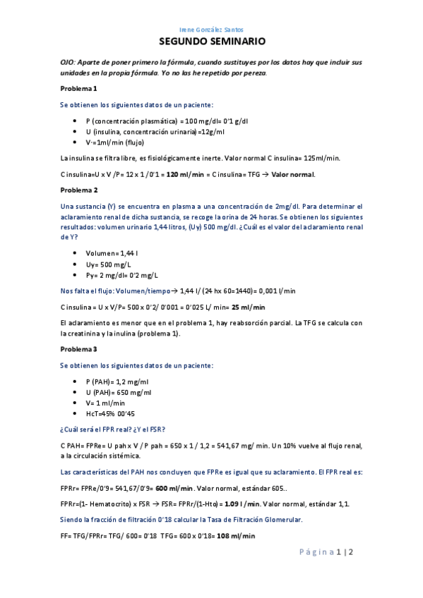 Miniatura del documento SEGUNDO-SEMINARIO.pdf