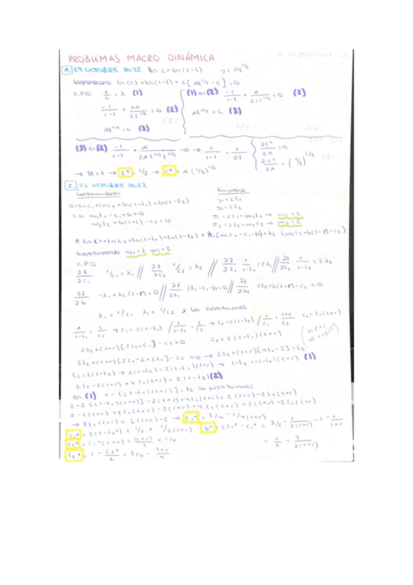 Miniatura del documento EJERCICIOS-RESUELTOS-MACROECONOMIA-DINAMICA.pdf