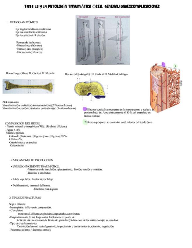 Miniatura del documento Tema-13-Y-14-Texto.pdf
