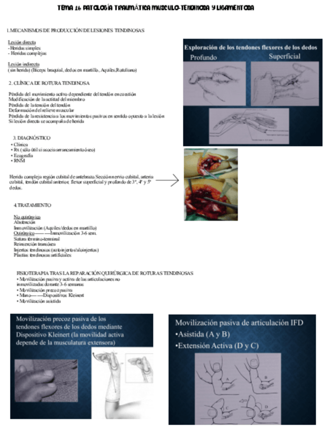 Miniatura del documento Tema-16-Texto.pdf