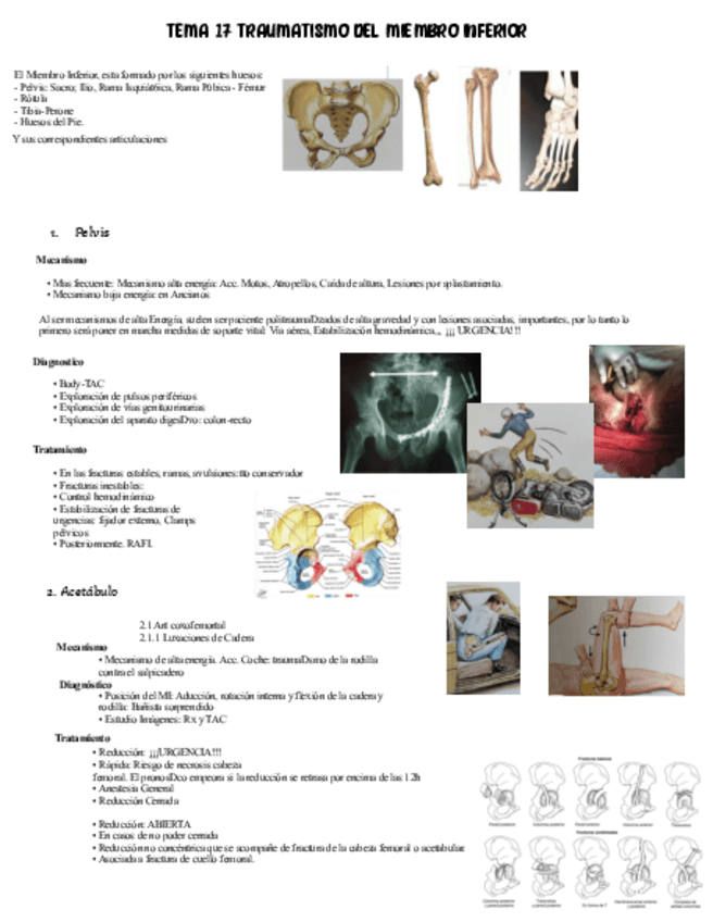 Miniatura del documento Tema-17-Texto.pdf
