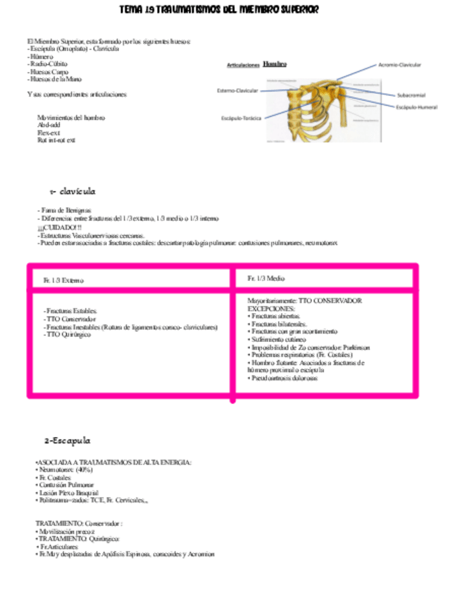 Miniatura del documento Tema-19-Texto.pdf