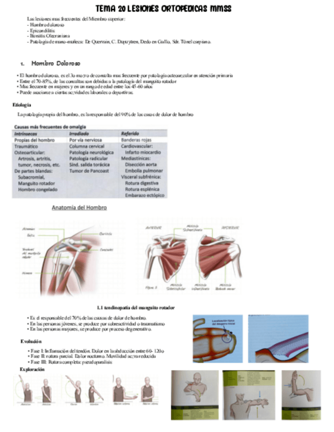 Miniatura del documento Tema-20-Texto.pdf