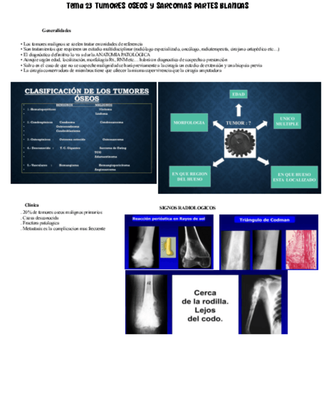 Miniatura del documento Tema-23-Texto.pdf