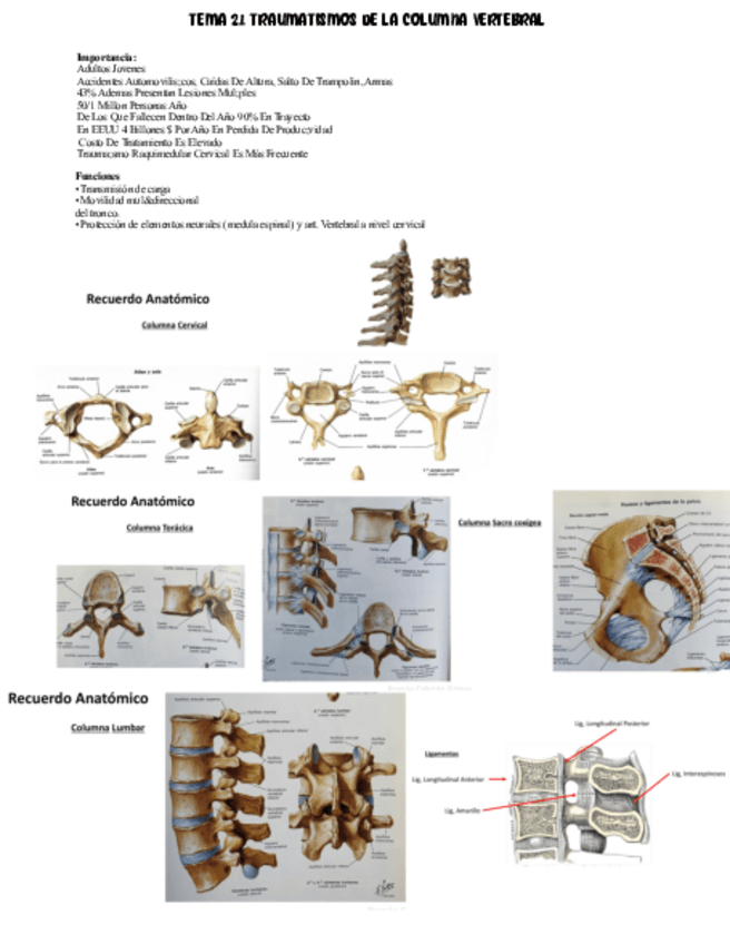 Miniatura del documento Tema-21-Texto.pdf