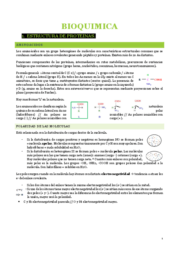 Miniatura del documento Bioquimica-primer-parcial.pdf