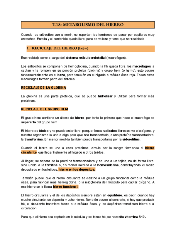 Miniatura del documento T18-fisiologia-Metabolismo-del-Hierro-completo.pdf