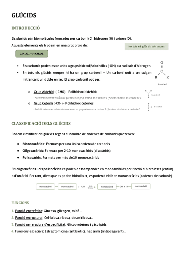 Miniatura del documento GLUCIDS.pdf