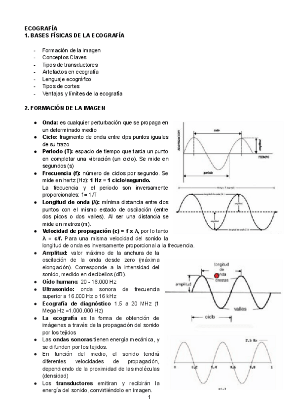Miniatura del documento APUNTES-ECO.pdf