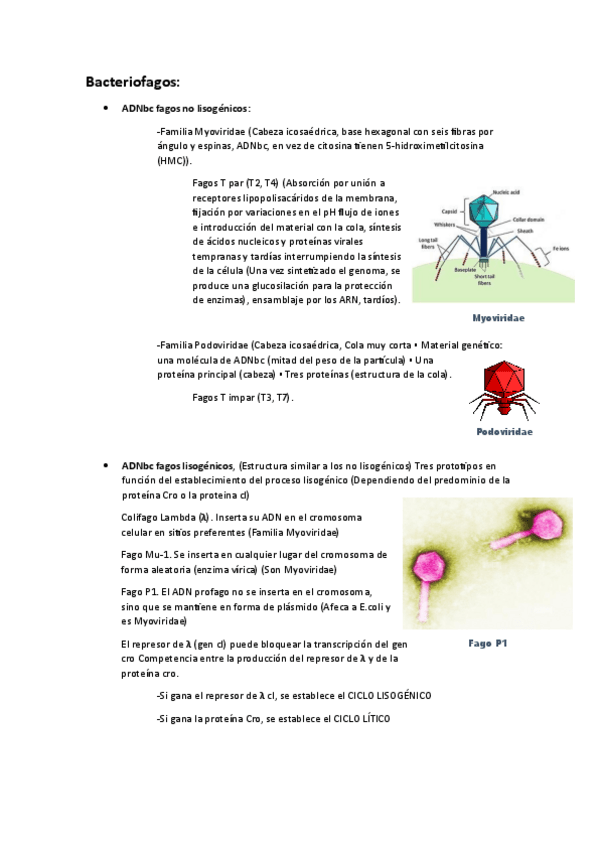 Miniatura del documento Esquema-virus.pdf