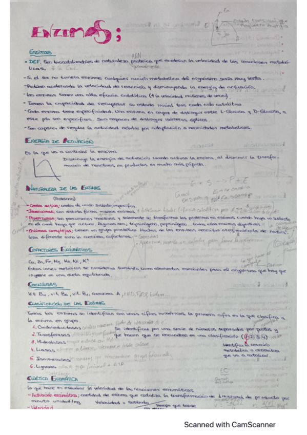 Miniatura del documento enzimas.pdf