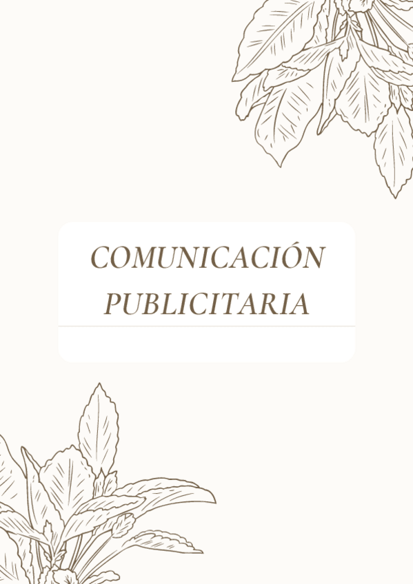 Miniatura del documento Comunicacion-publicitaria-magistral.pdf