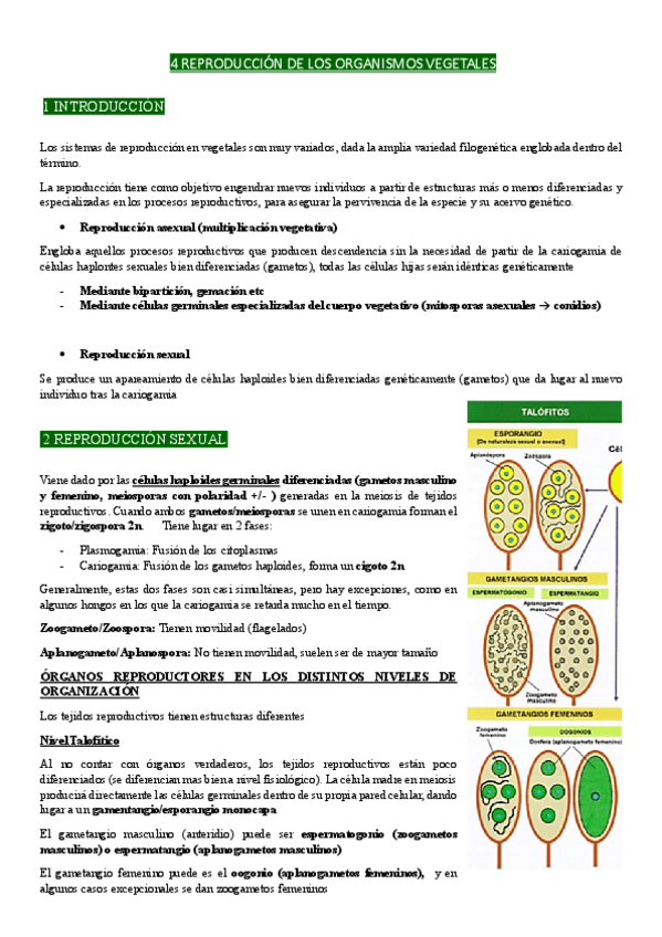 Miniatura del documento 4-CICLOS-REPROUCTIVOS.pdf