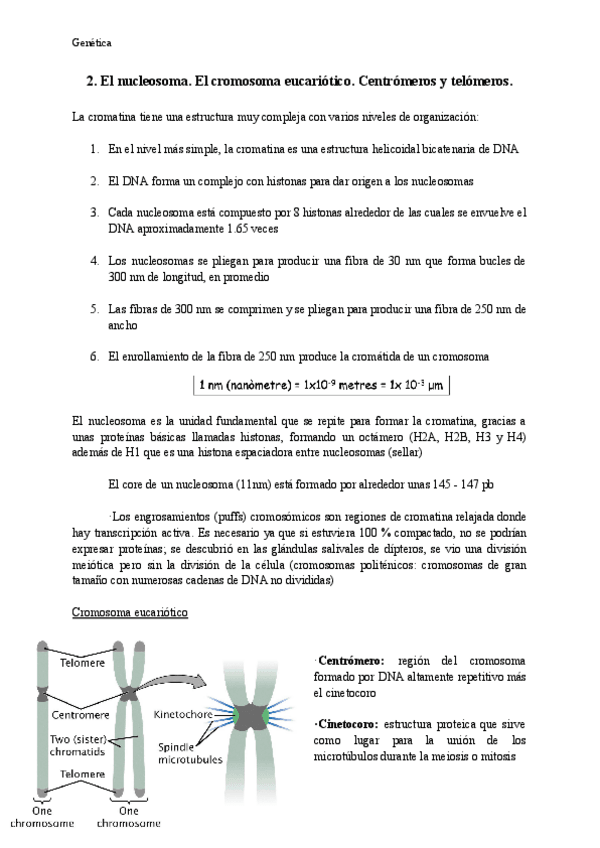 Miniatura del documento Tema-2-Genetica.pdf