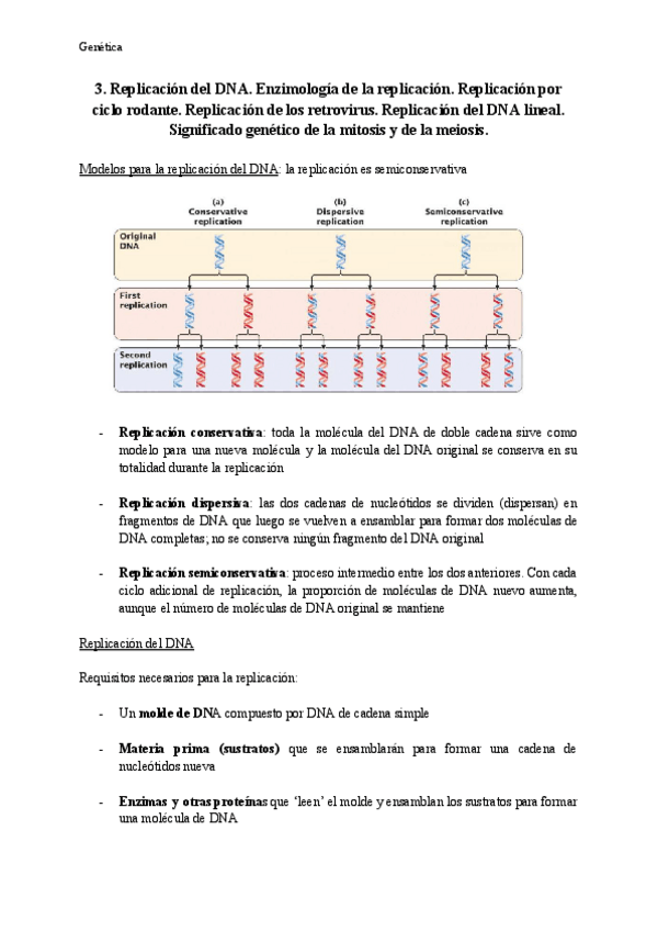 Miniatura del documento Tema-3-Genetica.pdf
