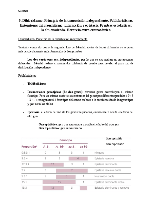 Miniatura del documento Tema-5-Genetica.pdf