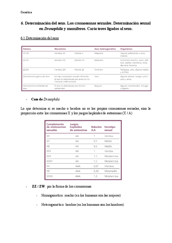 Miniatura del documento Tema-6-Genetica.pdf