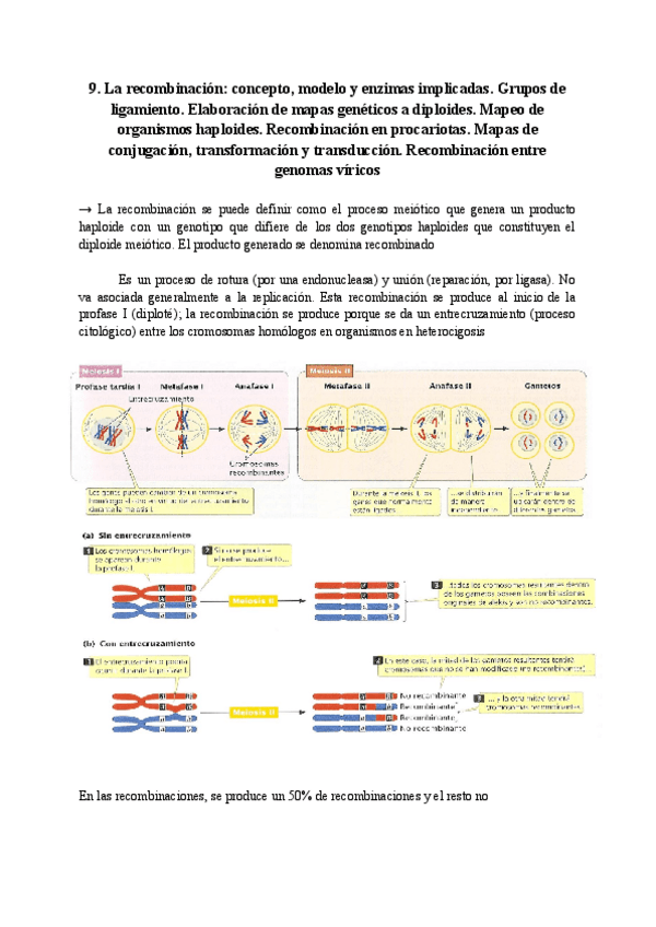Miniatura del documento Tema-9-Genetica.pdf