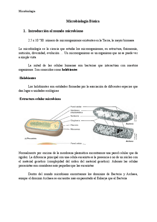 Miniatura del documento Modulo-1-Microbiologia.pdf