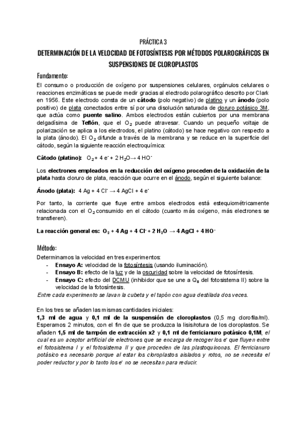 Miniatura del documento Practica 3-Velocidad fotosíntesis.pdf