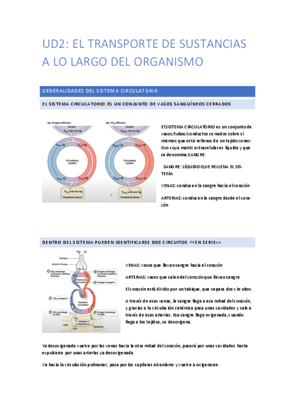 Miniatura del documento UD2.pdf