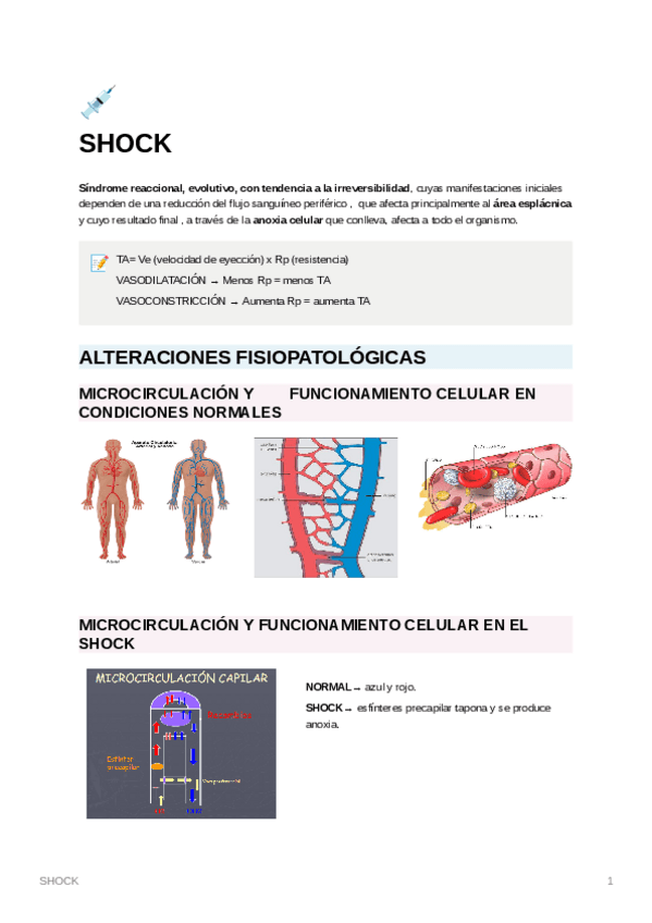 Miniatura del documento SHOCK.pdf