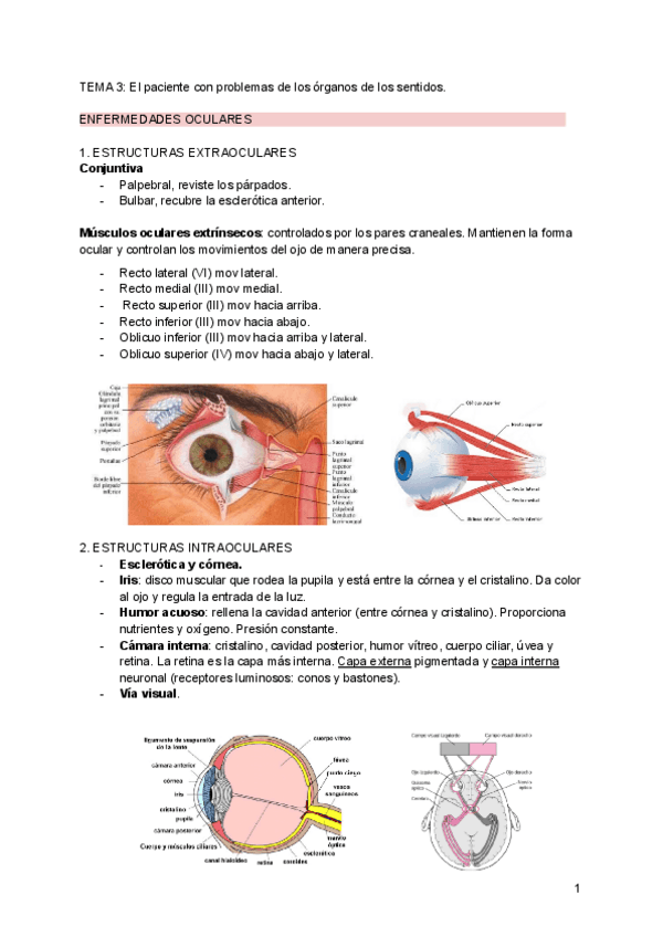 Miniatura del documento Tema-3.pdf
