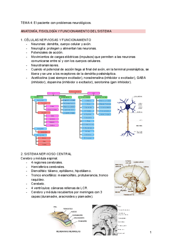 Miniatura del documento Tema-4.pdf
