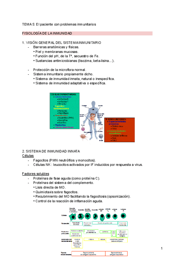 Miniatura del documento Tema-5.pdf