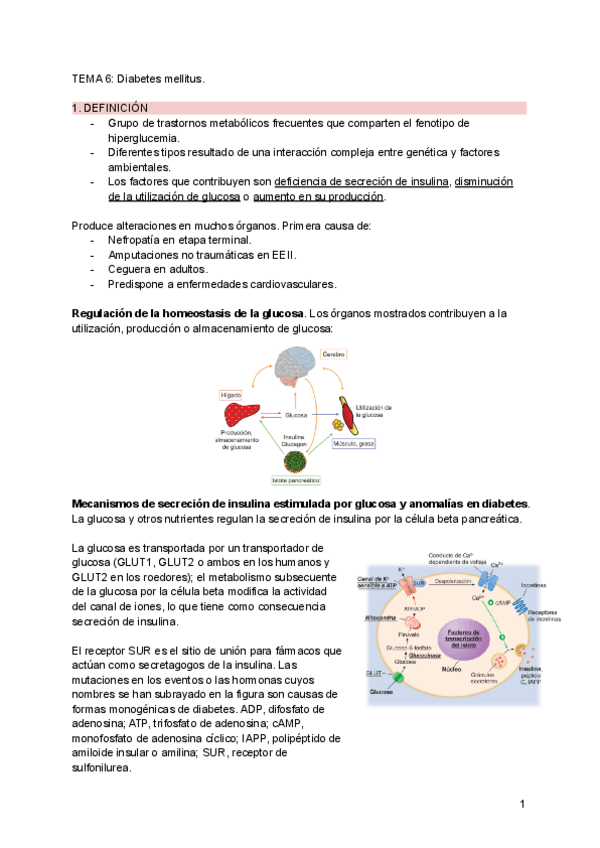 Miniatura del documento Tema-6.pdf