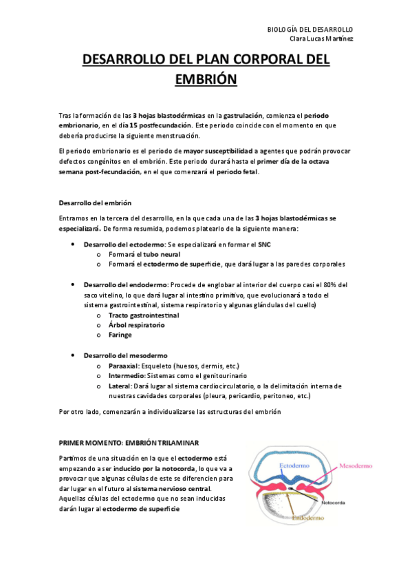 Desarrollo-del-plan-corporal-del-embrion.pdf
