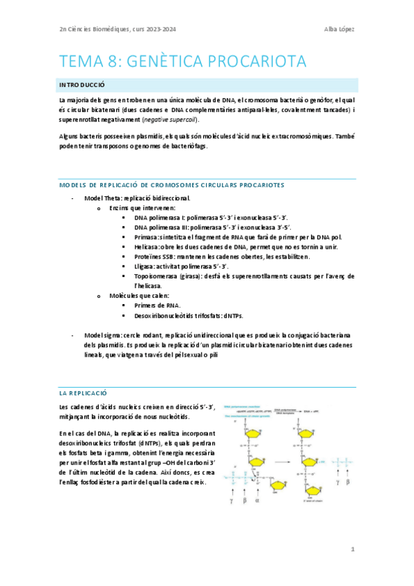 Miniatura del documento Tema-8.-Genetica-procariota.pdf