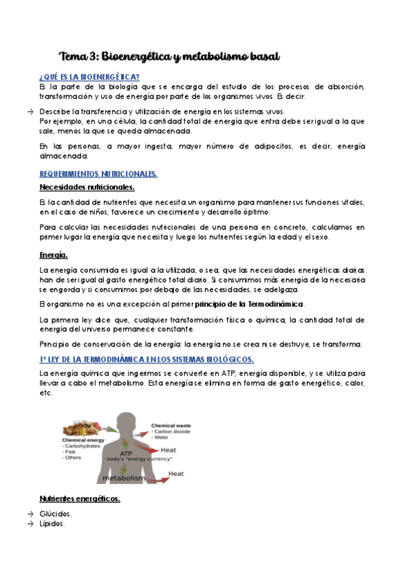 Miniatura del documento Tema-4.Bioenergetica-y-metabolismo-basal.pdf