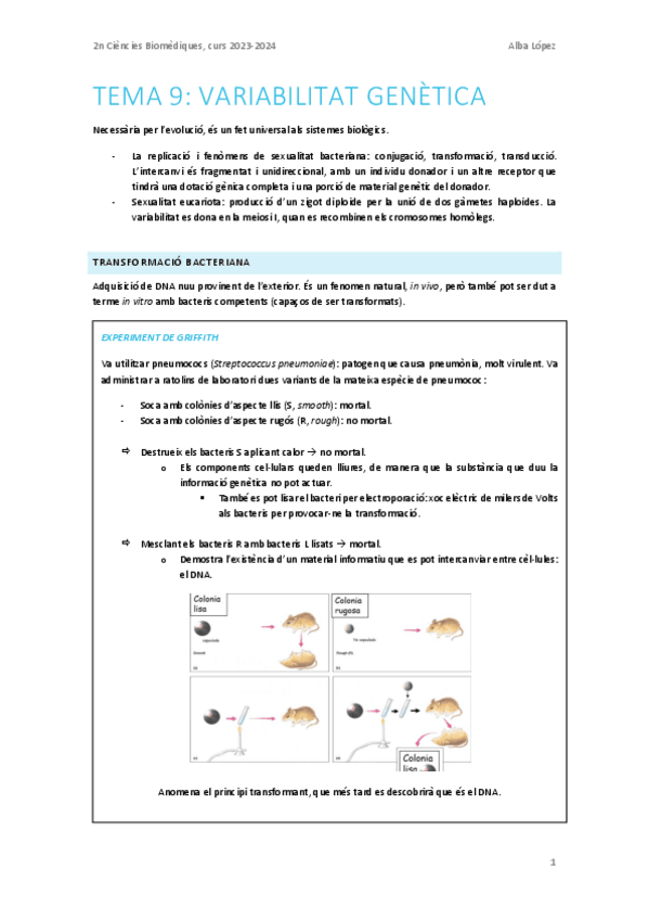 Miniatura del documento Tema-9.-Variabilitat-genetica.pdf
