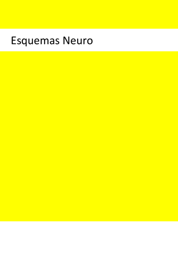 Miniatura del documento Esquemas-Neuro UIC.pdf