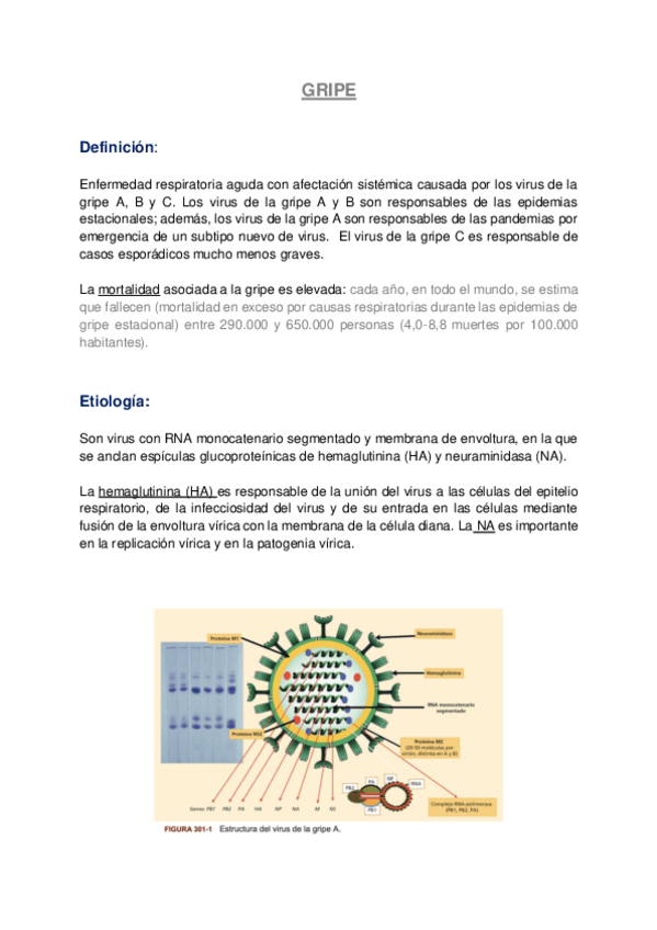 Miniatura del documento GRIPECOVID-19.pdf