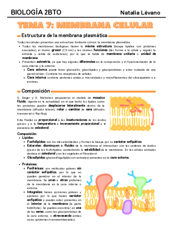Miniatura del documento Tema-7-membrana-celular.pdf