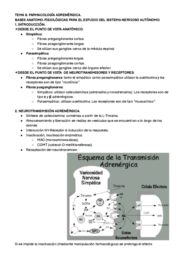 Miniatura del documento TEMA-8.-FARMA.pdf