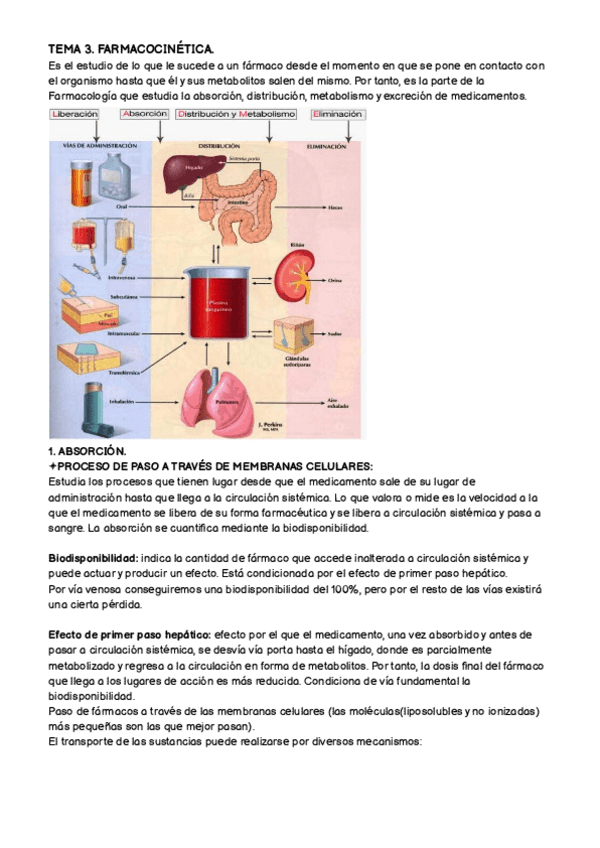 Miniatura del documento TEMA-3.-FARMA.pdf