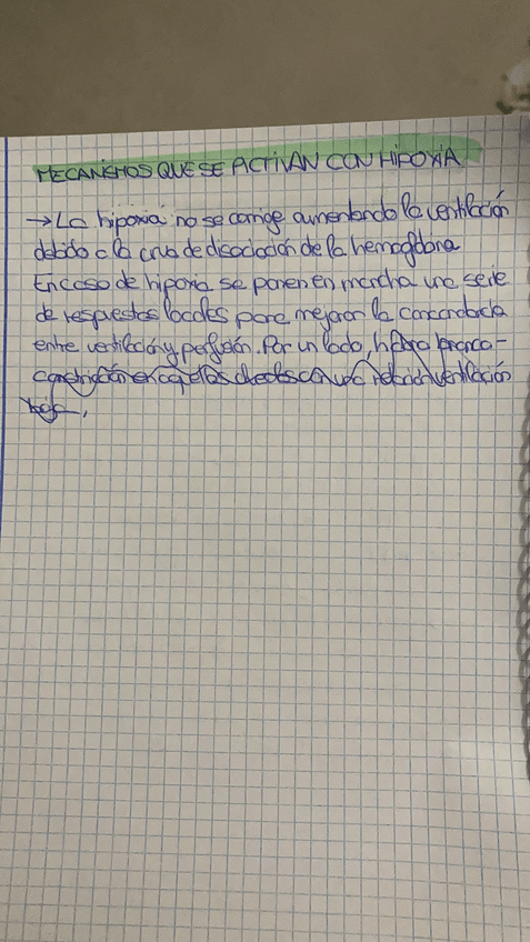 Miniatura del documento a298d3da-bded-4a20-be9e-32567142d70b.JPG