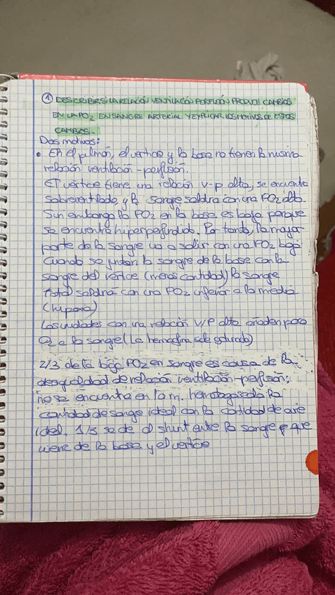 Miniatura del documento ea207365-d8d5-44ed-8263-a46bd14ab252.JPG