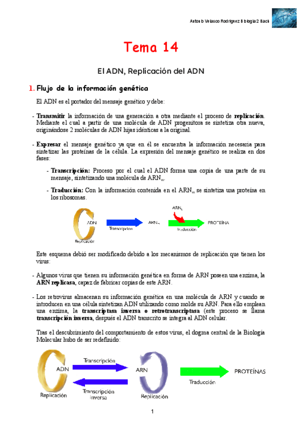 Miniatura del documento El-ADN-y-ARN-replicacion-transcripcion-y-traduccion.pdf