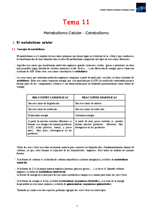 Miniatura del documento Metabolismo.pdf