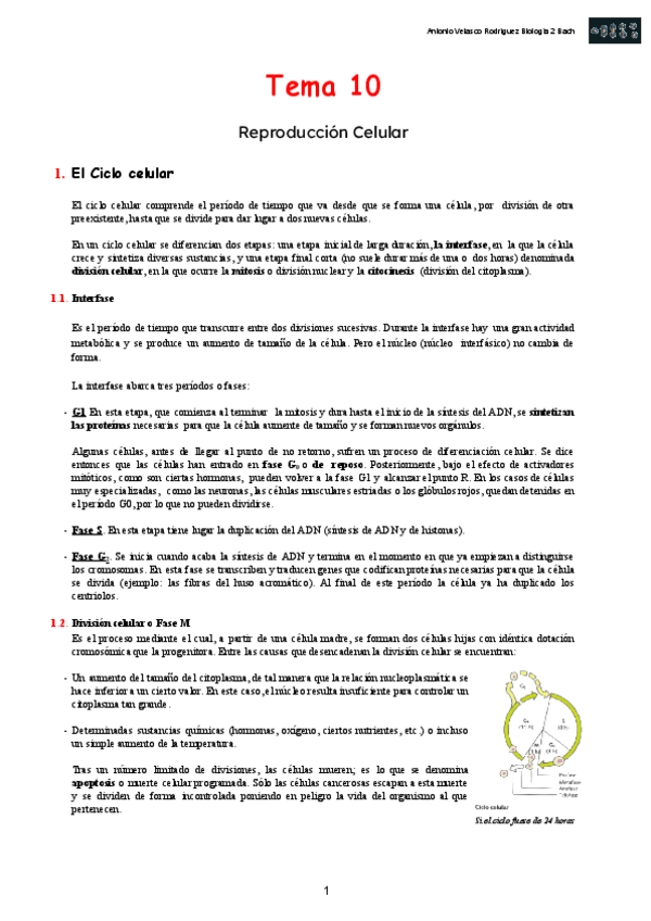 Miniatura del documento Reproduccion-Celular.pdf