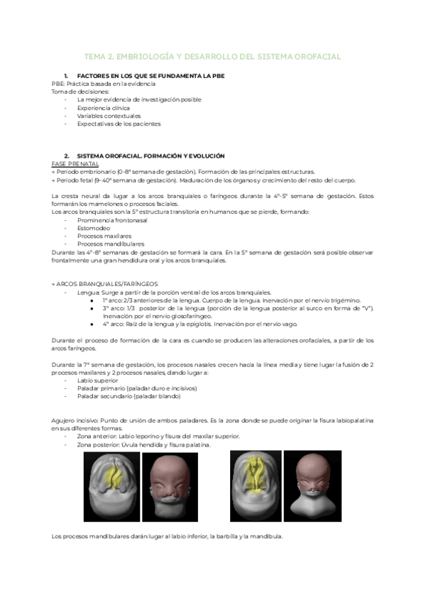 Miniatura del documento Tema-2.-Embriologia-y-desarrollo-del-sistema-orofacial.pdf