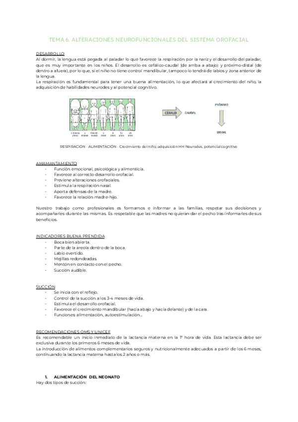 Miniatura del documento Tema-5.-Alteraciones-neurofuncionales-del-sistema-orofacial.pdf