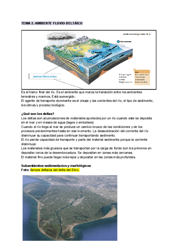 Miniatura del documento TEMA-2AMBIENTE-FLUVIO-DELTAICO.pdf