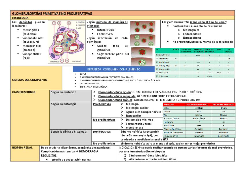 Miniatura del documento GLOMERULONEFRITIS-NO-PROLIFERATIVAS.pdf